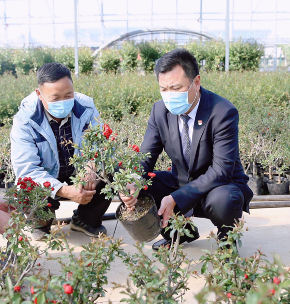 河东农商银行党建引领支持地方特色种植产业发展